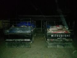 Polisi Amankan 4 Ton Getah Pinus Tanpa Izin yang Hendak Dijual ke Medan