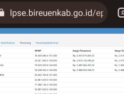 Indikasi KKN, Pengumuman Tender Proyek di Bireuen Disanggah Rekanan