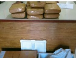 Kirim Ganja Lewat Cargo Bandara SIM Modus Sparepart, Pria Pidie Diamankan