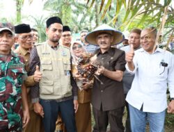 Bupati Aceh Utara Panen Perdana Sawit Program PSR