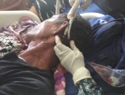 JM Nekat Tebas Satu Keluarga di Bireuen hanya Gara-gara Sapi