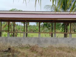 Diduga Bantuan UPPO untuk Kelompok Pulo Raya Juli Fiktif, Sapi Raib