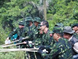 Tujuh Jenderal BNN RI Musnahkan Ladang Ganja di Aceh