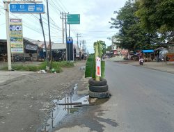 Tak Kunjung Diperbaiki, Warga Bireuen Tanam Pohon Pisang di Jalan Rusak