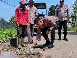Minimalisir Laka Lantas, Kapolsek Samalanga Tambal Jalan Berlubang