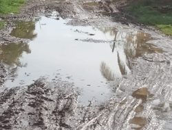 Jalan Bak Kubangan Kerbau, Pemkab Bireuen Diminta Tidak Tutup Mata
