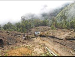 Forum Jurnalis Lingkungan Desak Polda Aceh Usut Pelaku Perambah Hutan