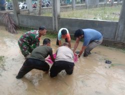Banjir di Bireuen Renggut Dua Korban Jiwa