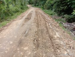 Tanpa Papan Informasi, Proyek Jalan di Merbo Lama Aceh Utara Dinilai Rawan Korupsi