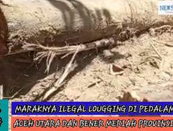 Dugaan Ilegal Logging Marak di Aceh Utara, Kapolres: Segera Kita Lidik