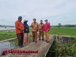 DKPP Sumenep Siapkan Asuransi Untuk Petani Gagal Panen Akibat Banjir