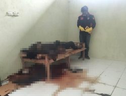 Tiga Hari Menghilang, Pedagang Buah di Aceh Timur Ditemukan Meninggal Dunia