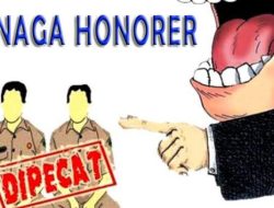 Pj. Bupati akan “PHK” Ribuan Tenaga Honorer di Bireuen