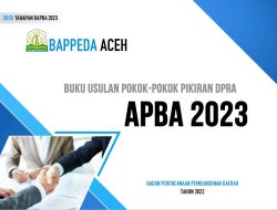 Pokir DPRA asal Bireuen Capai 181 Milyar, ada Alokasi Keluar Dapil