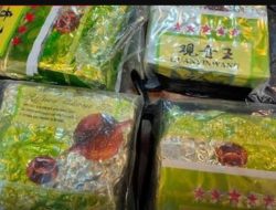 Nelayan Temukan 15 Paket Sabu Tak Bertuan di Perairan Samalanga, Bireuen