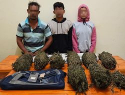 Edar Ganja, Suami Istri Diringkus Polres Lhokseumawe