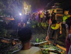 Respon Cepat Polres Bireuen Evakuasi Pohon Tumbang Halangi Jalan