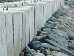 Baru Selesai sudah Miring, Proyek Pengaman Tebing 19 Miliar di Bireuen Diduga Asal Jadi