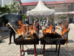 Kejari Bireuen Bakar 88 Kg Ganja dan Musnahkan Ribuan Barang Bukti Hasil Kejahatan