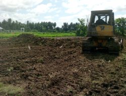 677 Hektare Sawah Terdampak Bencana di Bireuen Mulai Dibersihkan
