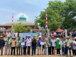 Pulihkan Sektor Pertanian di Bireuen, Penanaman Perdana Padi Gogo Dimulai di Pulo Siron