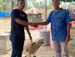 IDI Serahkan 10 Hewan Qurban untuk Desa Terdampak Banjir dan Longsor di Pidie Jaya