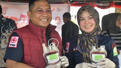 Peringati Hari Donor Darah Sedunia, PMI Bireuen Kumpulkan Ratusan Kantong Darah