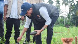 Pemkab Bireuen Laksanakan Peletakan Batu Pertama Pembangunan Huntap Komunal