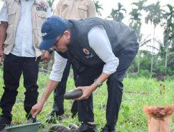 Pemkab Bireuen Laksanakan Peletakan Batu Pertama Pembangunan Huntap Komunal