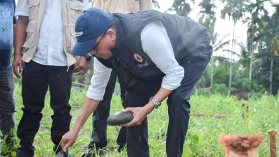 Pemkab Bireuen Laksanakan Peletakan Batu Pertama Pembangunan Huntap Komunal