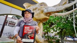 Peringati Hari Gajah Sedunia 2026, Seruan Pengembalian Kejayaan Gajah Indonesia Menggema
