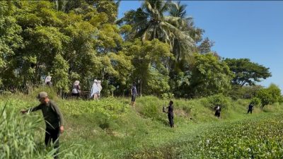 HAkA dan AGC Hijaukan Waduk Paya Kareueng dengan Pohon Aren Serbaguna