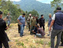 KPH Akan Data Perambahan Lahan Baru di Hutan Produksi Bireuen