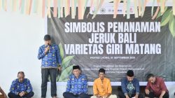 Distanbun Bireuen Bakal Salurkan 2 Ribu Bibit Giri Matang
