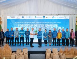 Kolaborasi SMV Kemenkeu Perkuat Potensi Kemiri NTB Menuju Pasar Ekspor