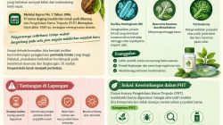 Biopestisida sebagai Alternatif Pestisida Kimia untuk Pertanian Berkelanjutan